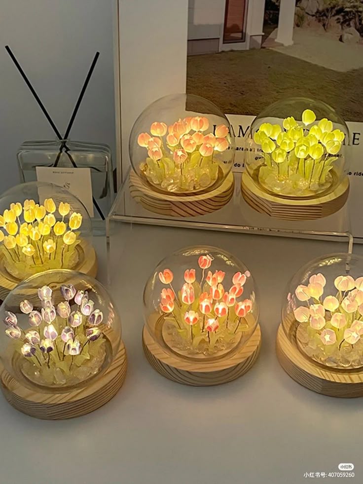 گوی دشت لاله